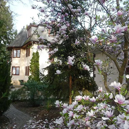 Balaton Art Guest house 3*