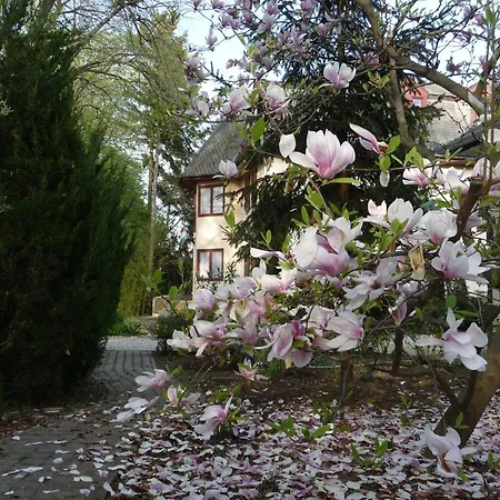 Guest house Balaton Art 3*