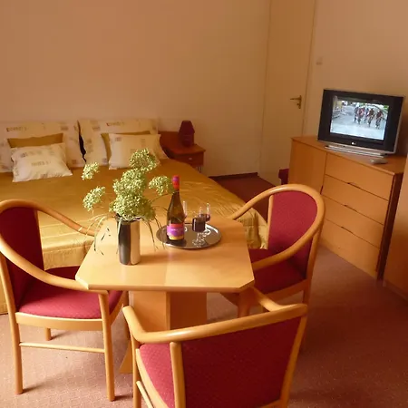 Guest house Balaton Art 3*