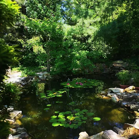 Balaton Art Guest house