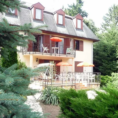 Гостевой дом Balaton Art 3*